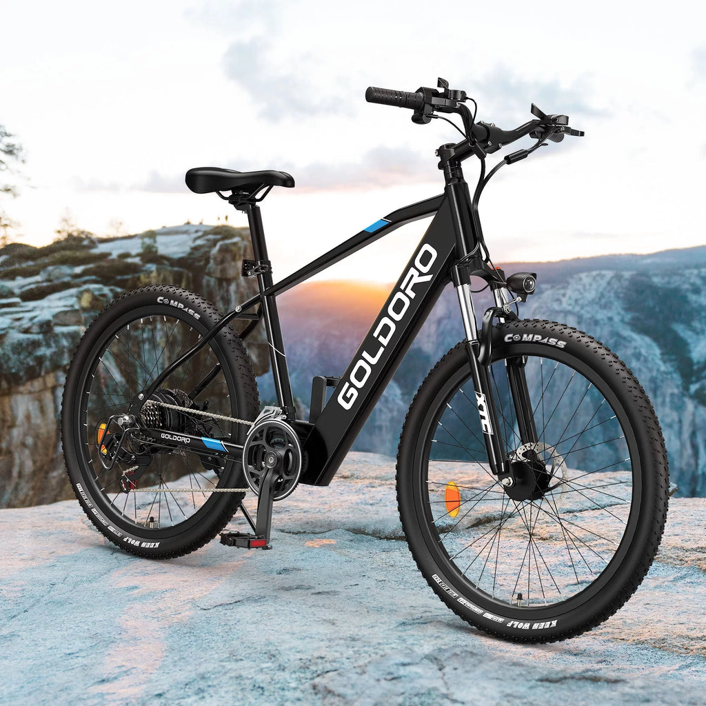 Electric Bike 26" Aluminum Alloy Mountain Bike 250W 21 Speed Y903159