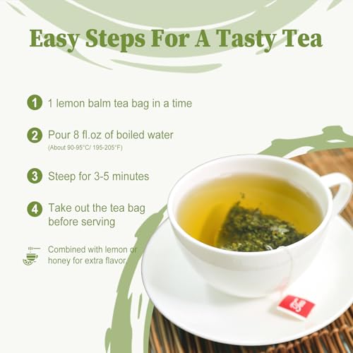 40 Teabags Unsmoked Yerba Mate Tea V101