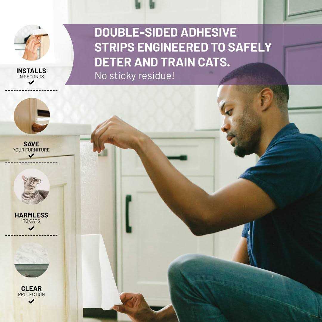 Cat Training Tape C6829