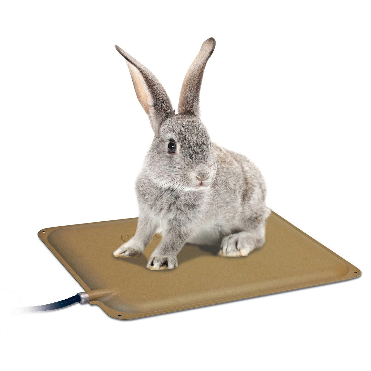 Heated Pad L191