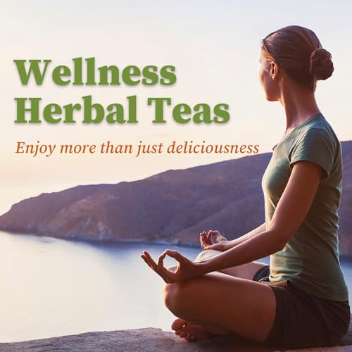 40 Teabags Unsmoked Yerba Mate Tea V101