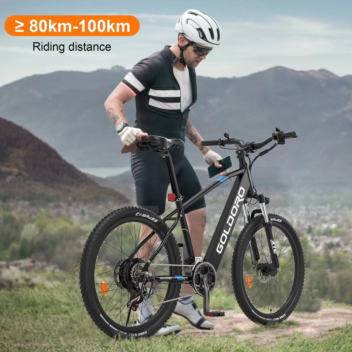 Electric Bike 26" Aluminum Alloy Mountain Bike 250W 21 Speed Y903159
