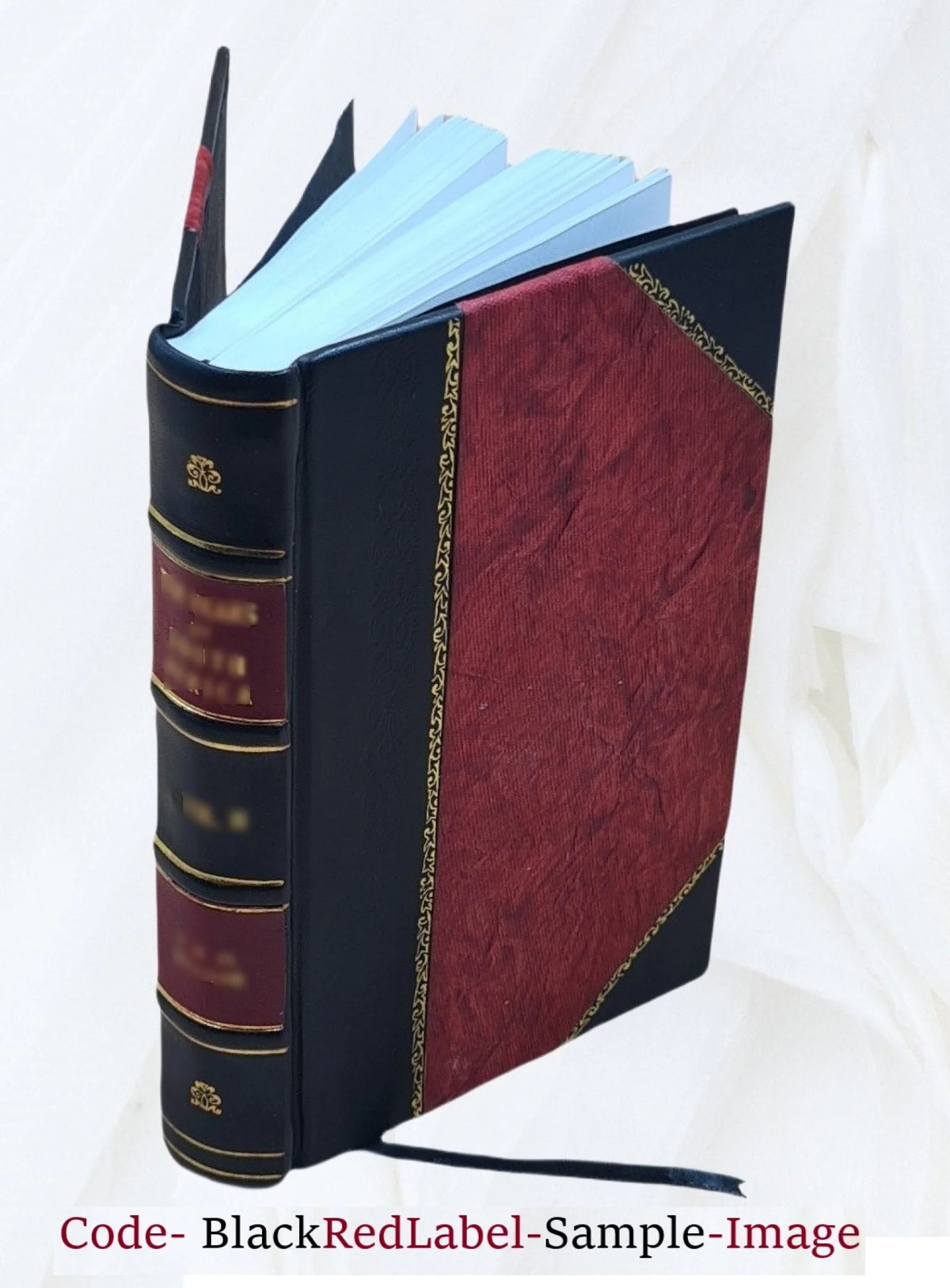 Greek Romances of Heliodorus, Longus and Achilles Tatius E7335